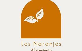 Alojamiento Los naranjos con Piscina y Parking gratuito